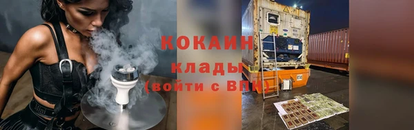 тгк Новодвинск