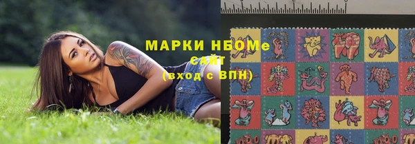 тгк Новодвинск